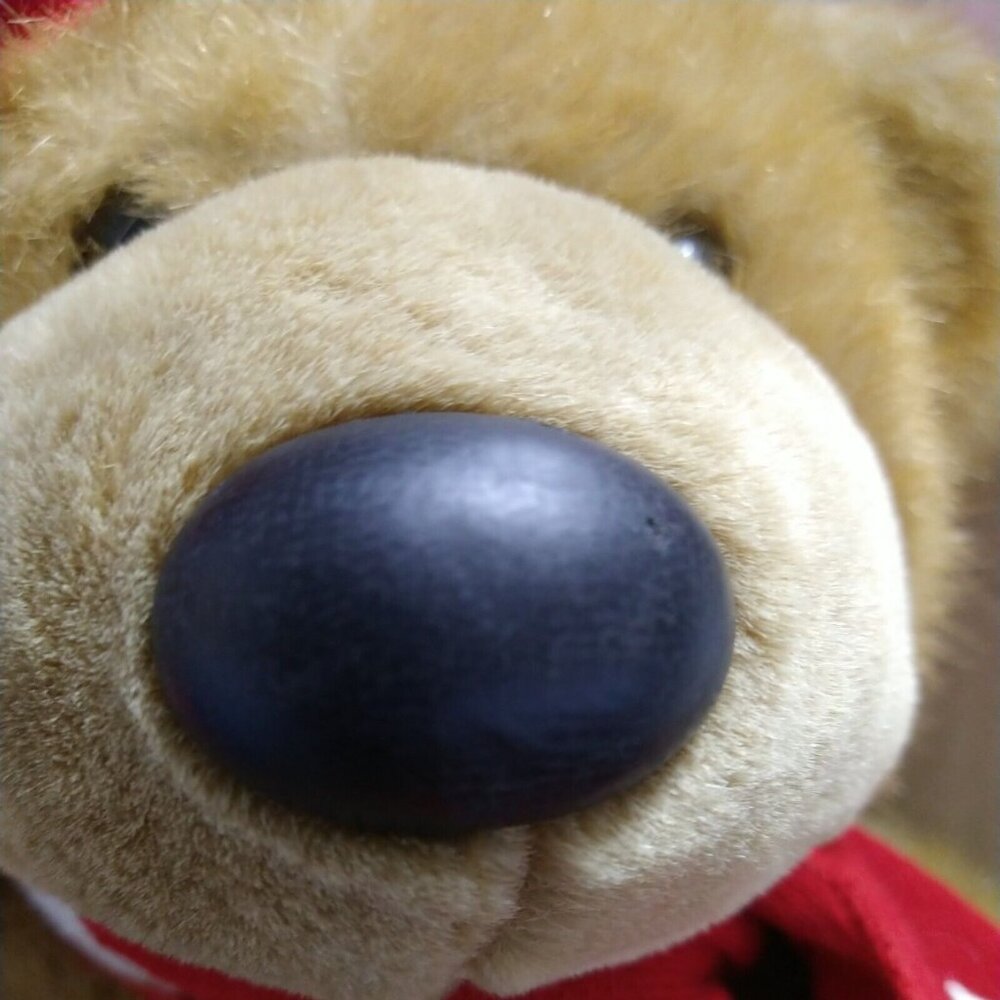 Bealls Cubbington 2001 Brown Teddy Bear Plush Stuffed Animal Scarf Stocking Hat - Picture 11 of 11